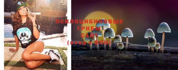 меф Арсеньев