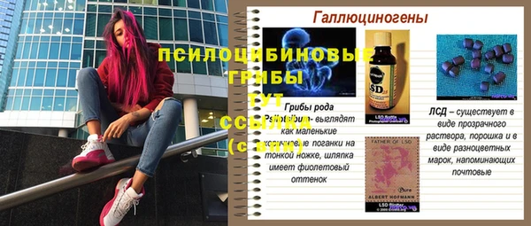 дурь Армянск