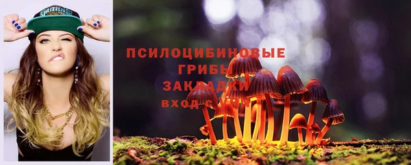 соль ск Аркадак
