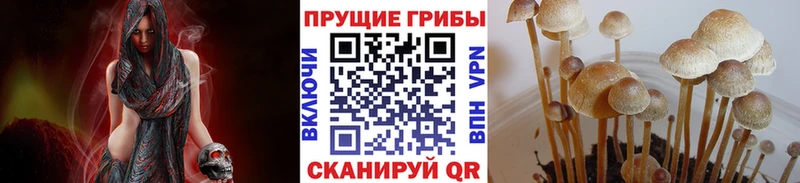 МЕГА ссылка  хочу   Терек  Псилоцибиновые грибы ЛСД 